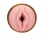Masturbator Fleshlight Stamina Training Unit Quickshot Lady/Butt