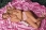 Masturbator Fleshlight Girls Blake Blossom Bombshell