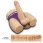 Masturbator anus cu dildo 14,6 cm Streetgirl's